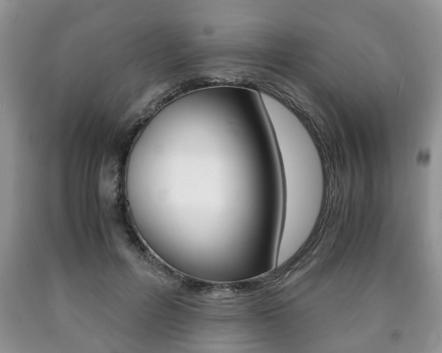 X0000090760600200707201055