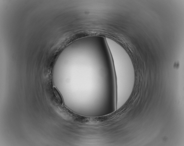 X0000090760601200707201055