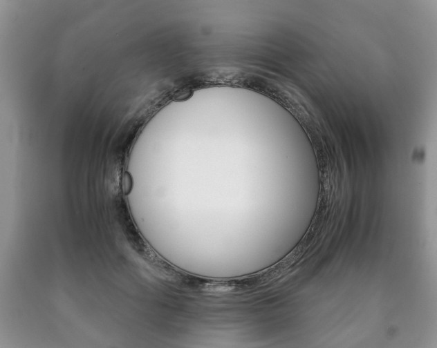 X0000090760602200707201055