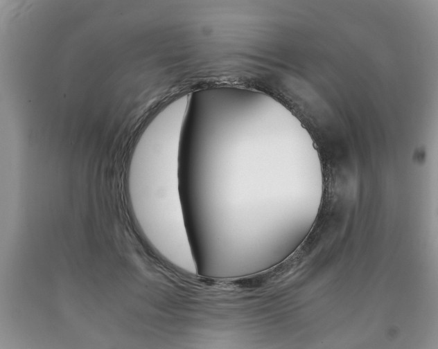 X0000090760603200707201055