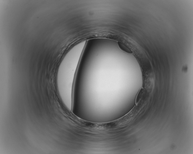 X0000090760604200707201055
