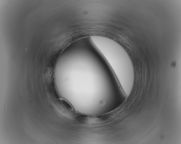 X0000090760605200707201055