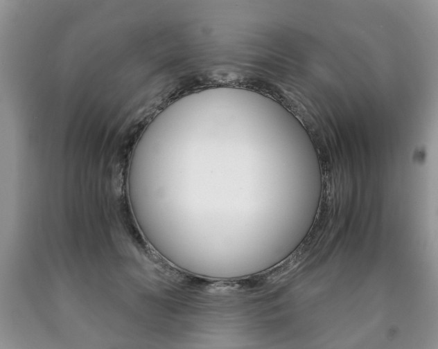 X0000090760606200707201055