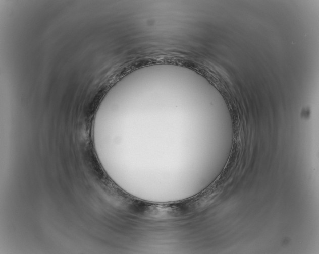 X0000090760607200707201055