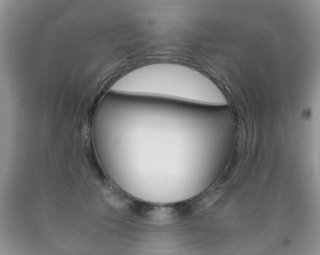 X0000090760609200707201055