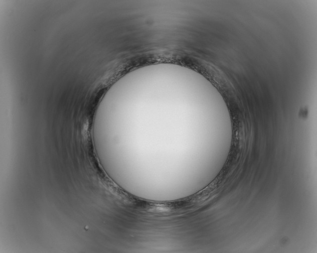 X0000090760610200707201055