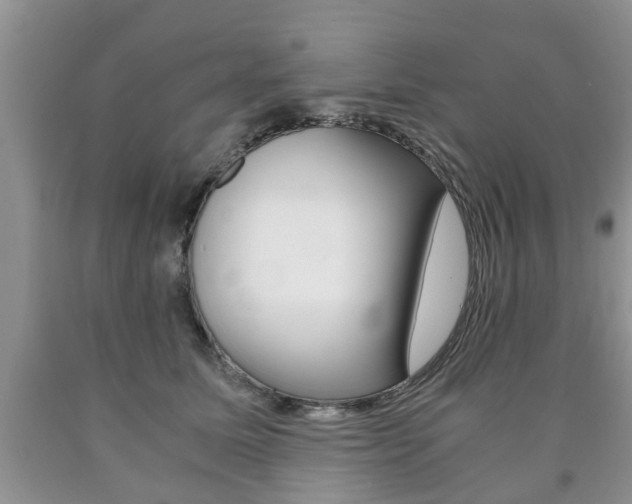 X0000090760611200707201055