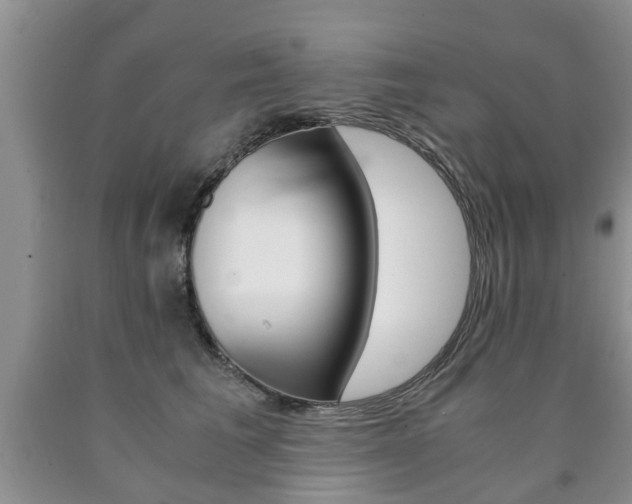 X0000090760613200707201055