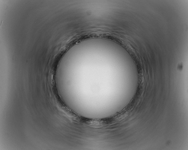 X0000090760615200707201055