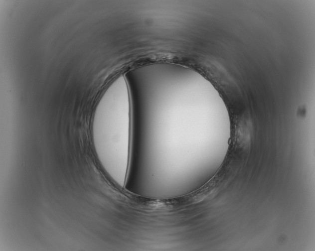 X0000090760616200707201055