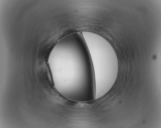 X0000090760617200707201055