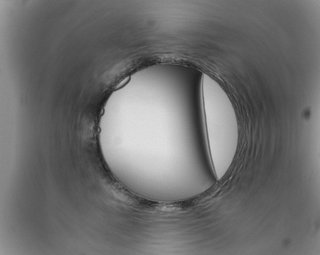 X0000090760619200707201055