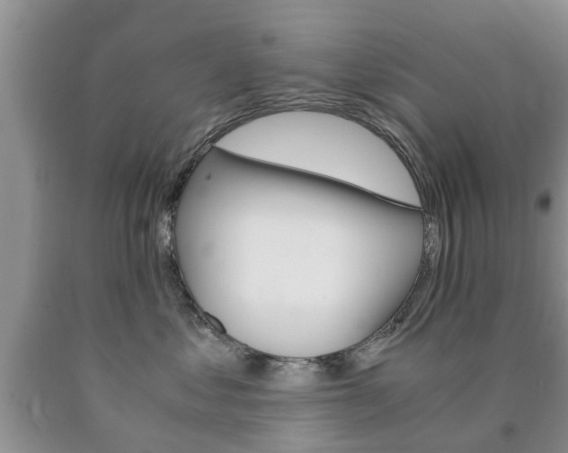 X0000090760621200707201055