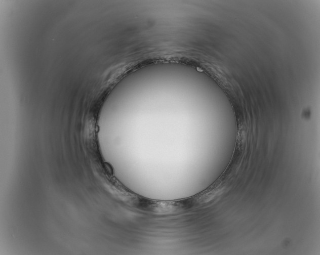 X0000090760623200707201055