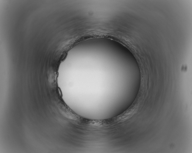 X0000090760624200707201055