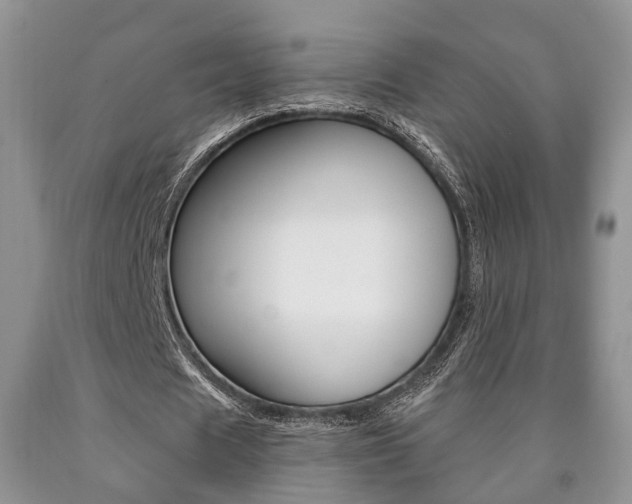 X0000090760625200707201054