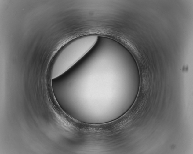 X0000090760626200707201054