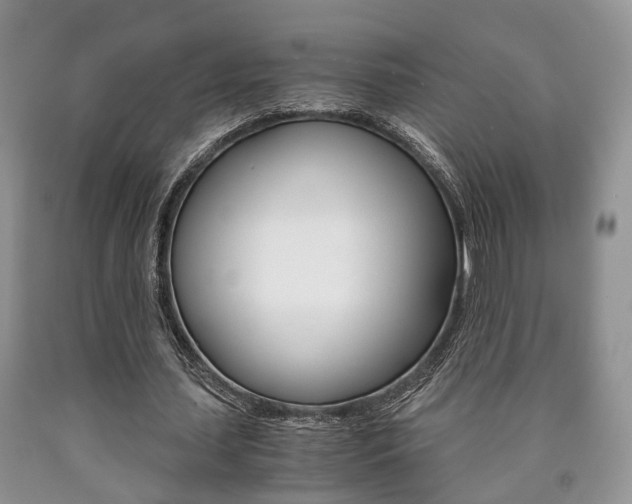 X0000090760627200707201054