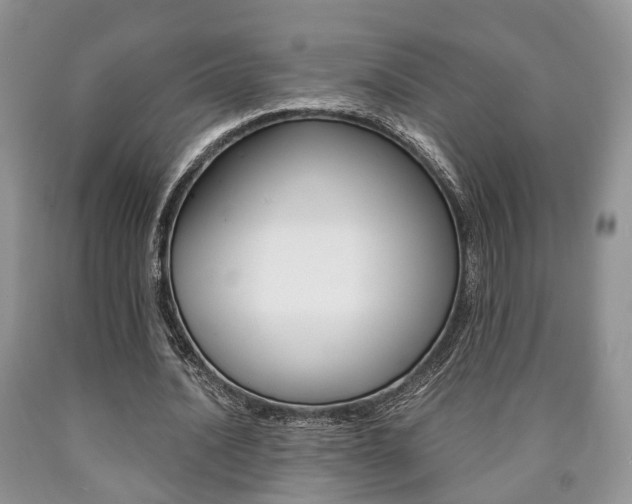 X0000090760628200707201054