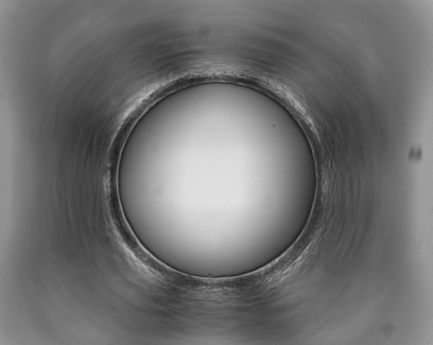 X0000090760629200707201054