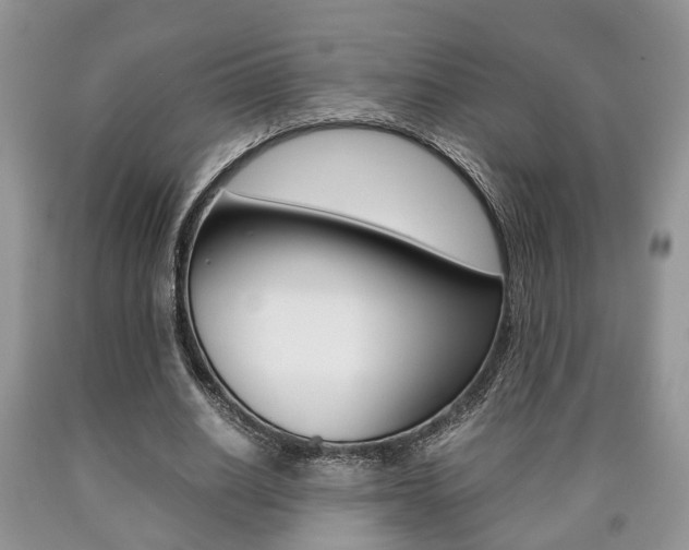X0000090760630200707201054