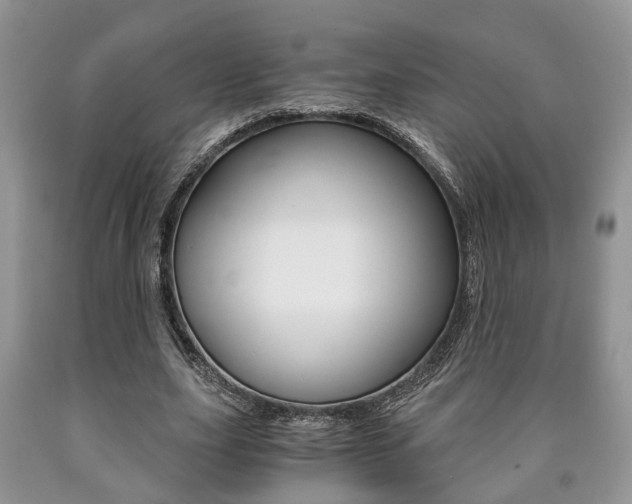 X0000090760631200707201054