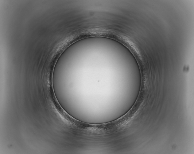X0000090760633200707201054