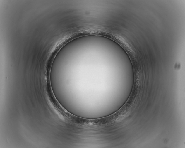 X0000090760634200707201054