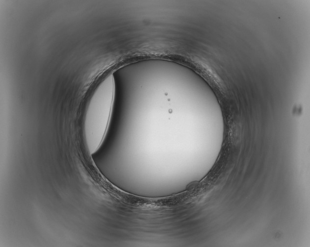 X0000090760635200707201054
