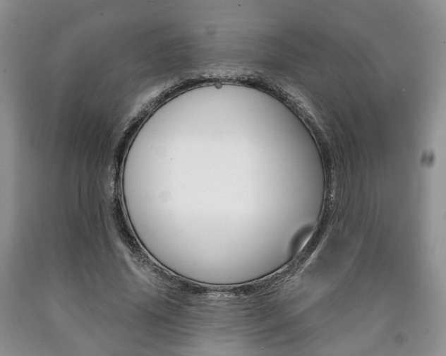 X0000090760636200707201054