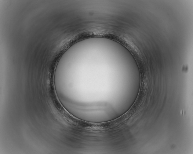 X0000090760639200707201054