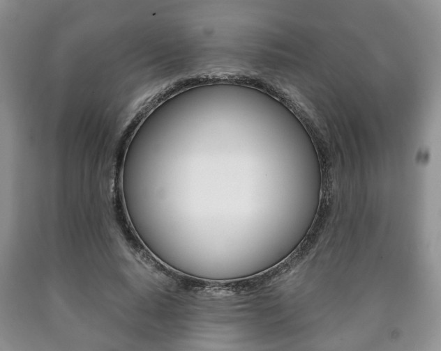 X0000090760640200707201054