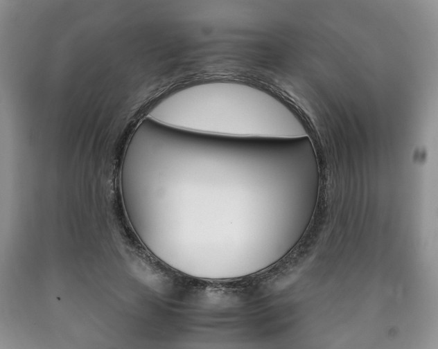 X0000090760641200707201054
