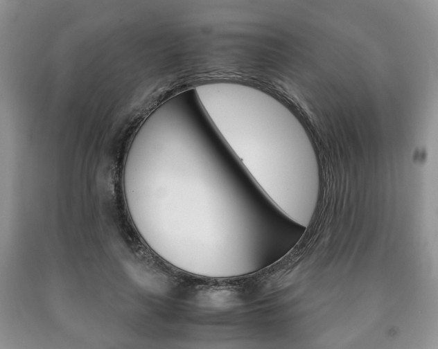 X0000090760643200707201054