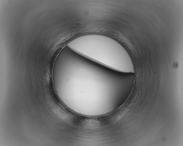 X0000090760644200707201054