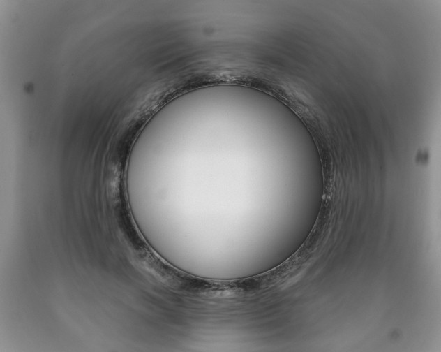 X0000090760646200707201055