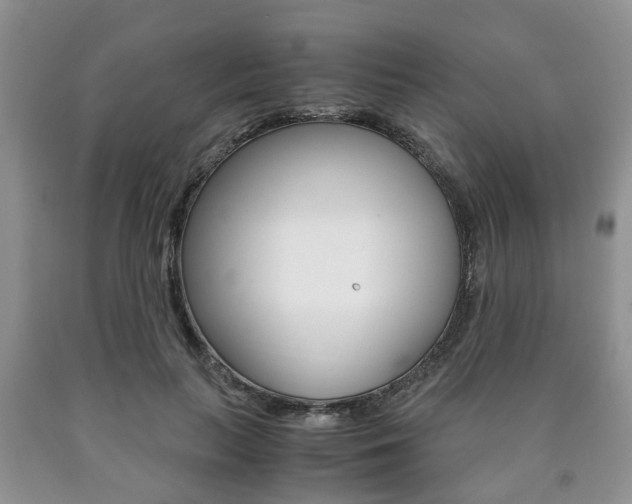 X0000090760647200707201055