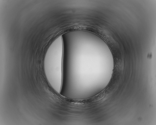 X0000090760649200707201055