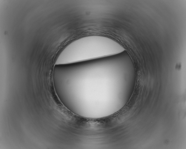 X0000090760650200707201055