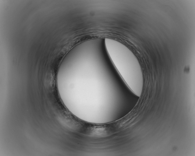 X0000090760651200707201055