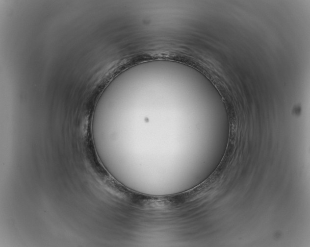 X0000090760652200707201055