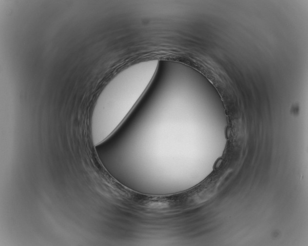 X0000090760653200707201055