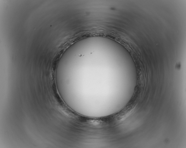 X0000090760654200707201055