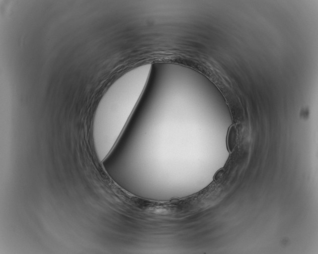 X0000090760655200707201055