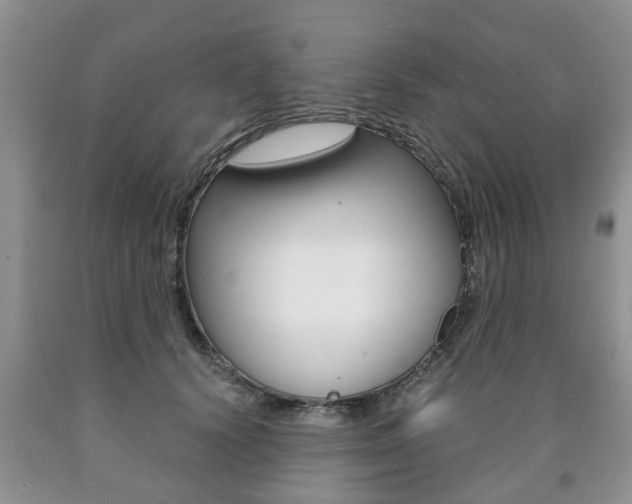 X0000090760656200707201055