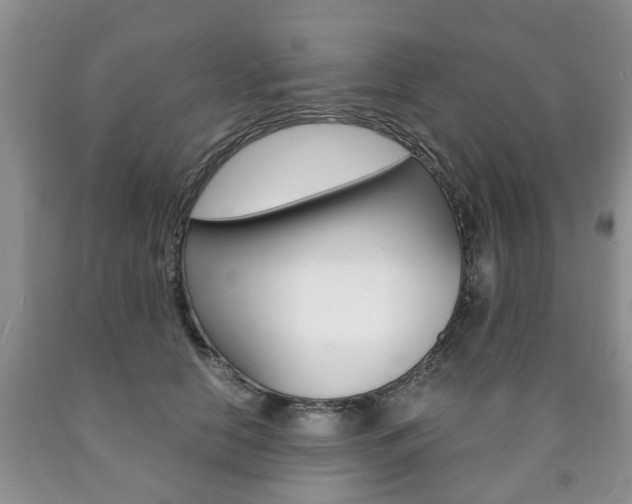 X0000090760658200707201055