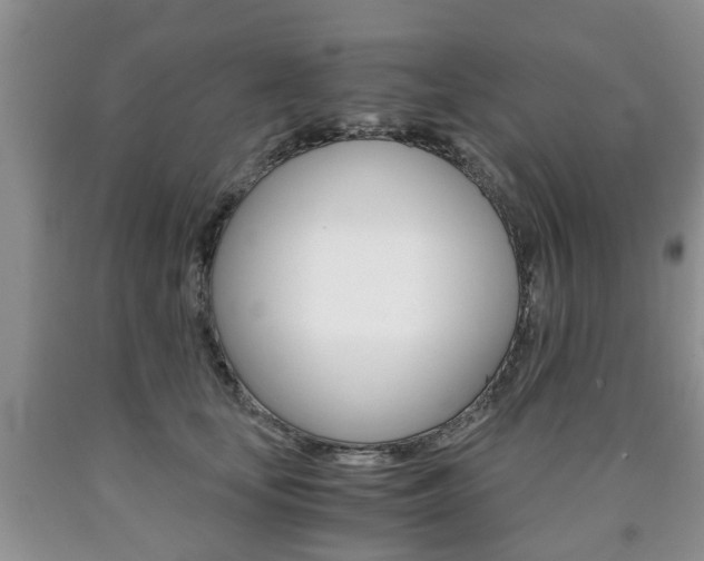 X0000090760659200707201055