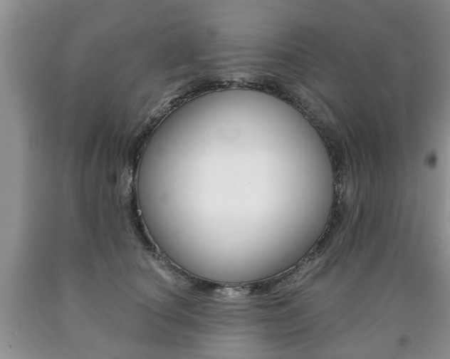 X0000090760660200707201055