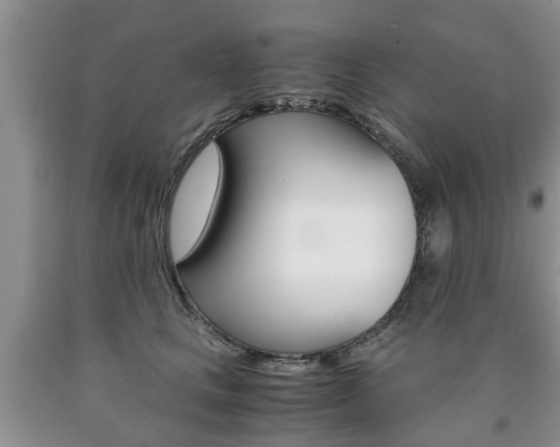 X0000090760661200707201055