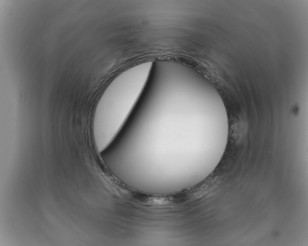 X0000090760662200707201055